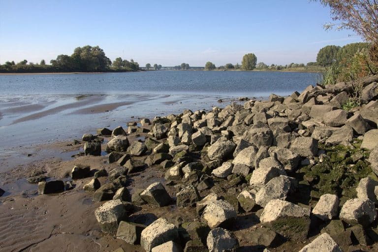 Gevolgen langdurige droogte steeds meer merkbaar