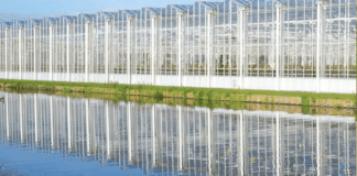 ICT Groep neemt deel aan NWO Perspectief Programma “AquaConnect”