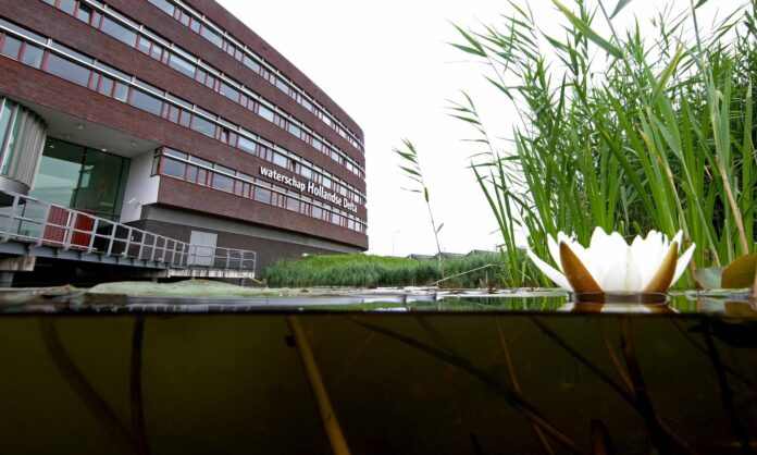Hollandse Delta vernietigend rapport