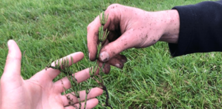 Hollandse Delta bodembeheer