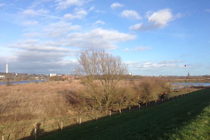 Stadsblokken-Meinerswijk