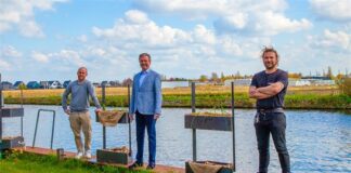 Innovatieve plantenbak