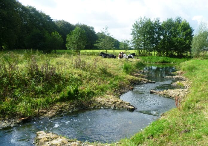 Waterschap geeft minder uit door corona en droogte