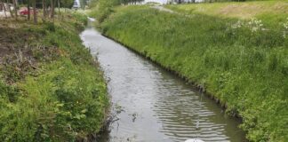 Praktijkproef met zelfstandige sensoren van start op Goeree-Overflakkee