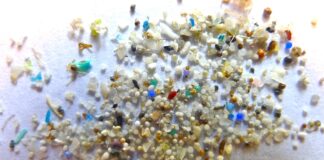microplastics