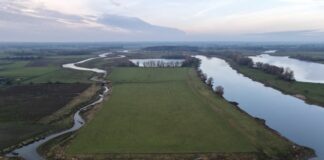 Rijkswaterstaat start aanbesteding onderhoudscontracten uiterwaarden Rijn en Maas