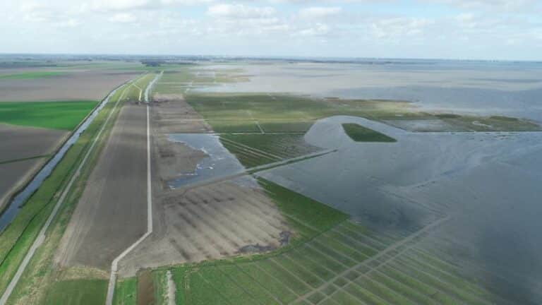 Vervolgonderzoek nodig voor definitief ontwerp Groningse zeedijk met klei van slib