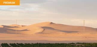 Aardappels telen in de woestijn