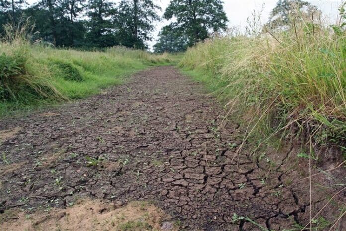 Foto: drooggevallen beek (HOP, website Vechtstromen) droogte