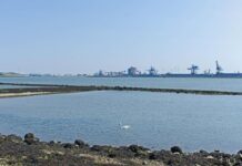 LTO pleit voor afsluiten Nieuwe Waterweg als droogtemaatregel Nieuwe Waterweg