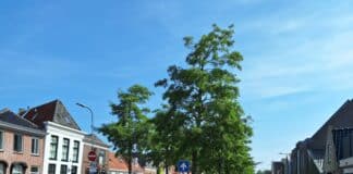 Korte extreme regenbuien