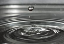 ‘PFAS verdienen een centrale rol bij de verkiezingen’ PFAS