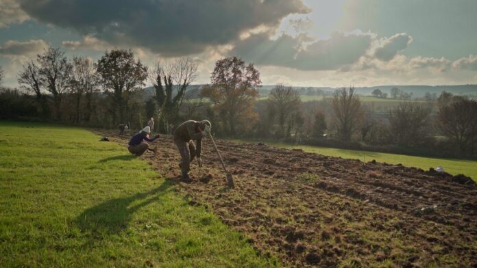 Bij de Volmolen zijn twee graften opnieuw aangelegd. Vrijwilligers hebben er vervolgens verschillende inheemse struiken geplant (foto: Natuurmonumenten).