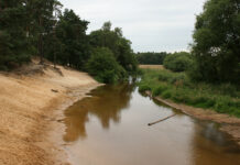 Vragen over de KRW-status van de Dinkel - hier in het zandrijke natuurgebied Lutterzand - bij de recente Provinciale Staten vergadering met Gedeputeerde Martijn Dadema. (foto: Wikipedia)