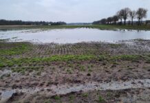 Bypasses langs beken helpen niet tegen wateroverlast maar wat dan wel? nb1190_bypass_ondergelopen_akkers2_v1.jpg