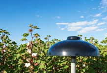 Foto: SolPhyx laat met hun poeder nitraat lokaal afbreken in water en bodem, onder invloed van zonlicht. 