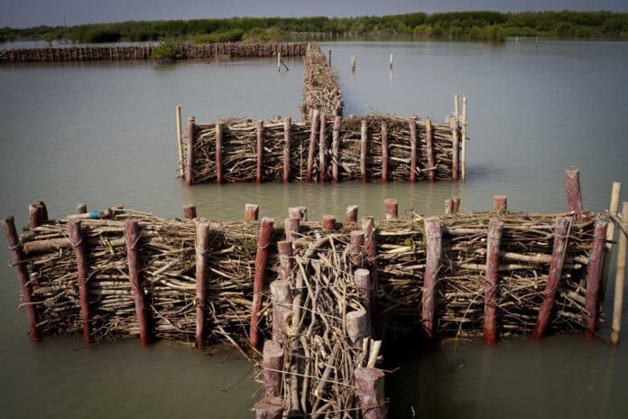 Foto: samen met de lokale bevolking heeft de Nederlandse watersector eenvoudige houten dammen aangelegd langs de noordelijke Javaanse kust om erosie te stoppen en via golfdempende werking mangroven te herstellen (foto: Ecoshape/Witteveen+Bos).