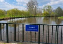 Het waterschap beschouwt de Dommel als onderdeel van het Maasstroomgebied (foto: De Dommel).