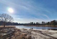 De Kalmthoutse Heide (foto: provincie Noord-Brabant).
